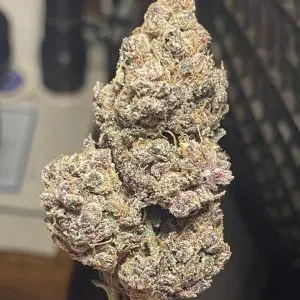 kopen Bubblegum Runtz