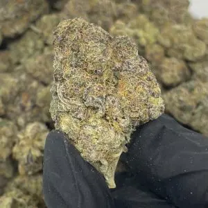 Kopen Grape Soda Strain